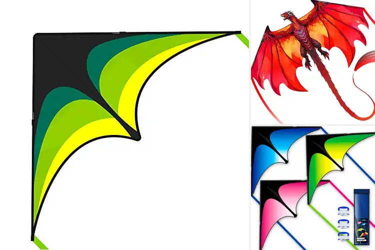 Detailed view of Best Beginner Kites