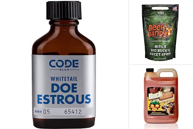 Detailed view of Best Buck Attractants: Top 10 Natural Lures for Mature Bucks