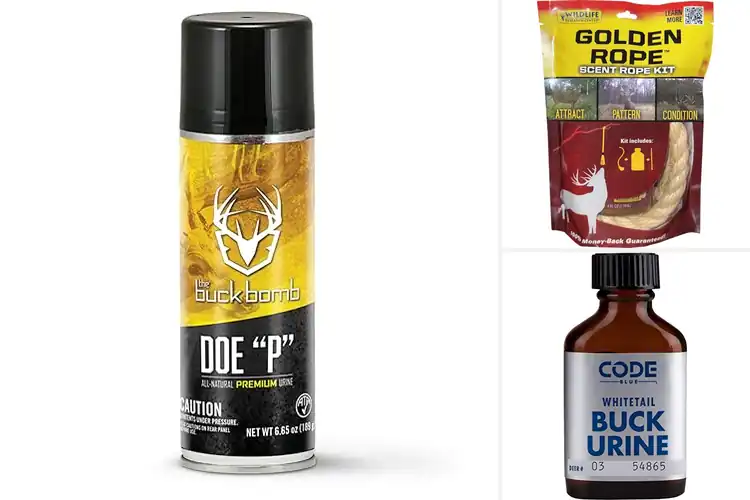 Detailed view of Best Buck Attracting Scents: Top Products to Boost Your Hunt