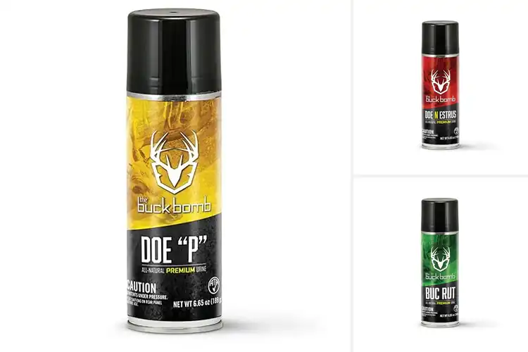 Detailed view of Best Buck Bombs