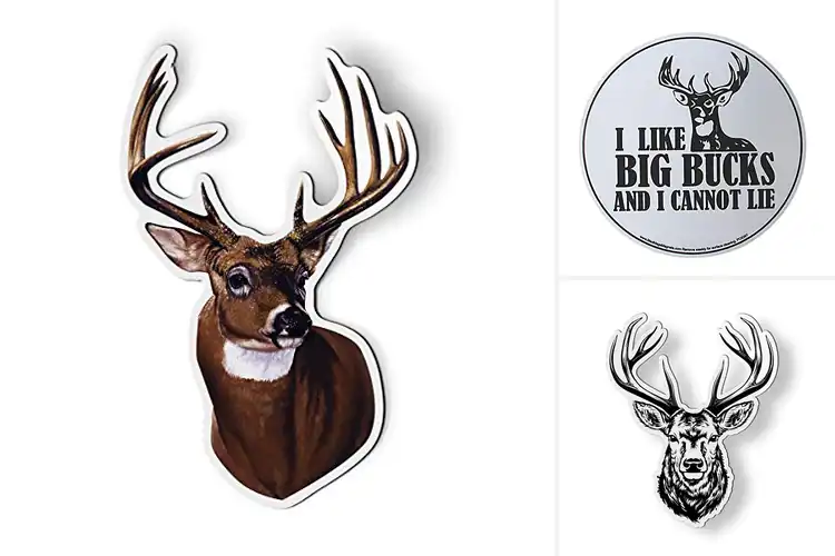 Detailed view of Best Buck Magnet Products