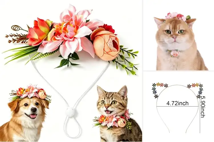 Detailed view of Best Cat Flower Headbands: Adorable Paws With Blooming Charm