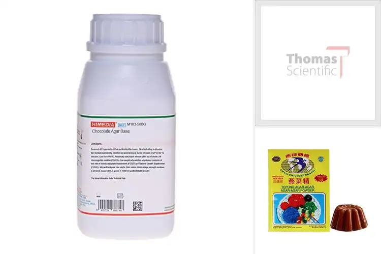 Detailed view of Best Chocolate Agar Bases