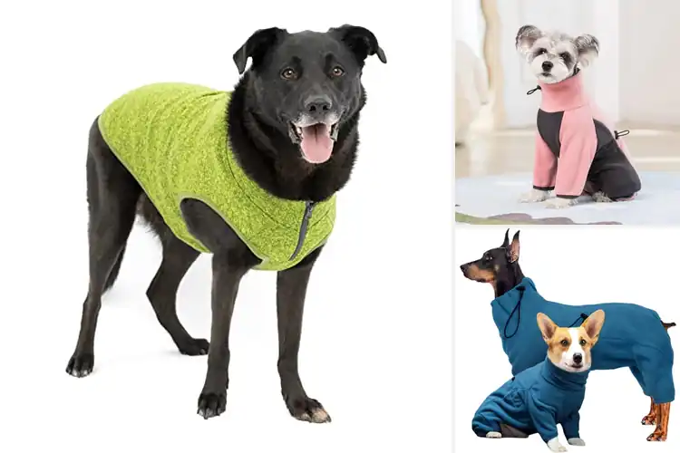 Detailed view of Best Cold Weather Dog Outfits