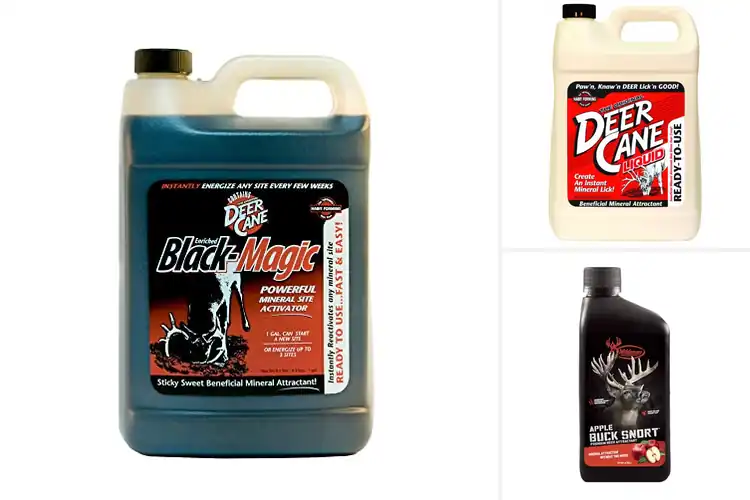 Detailed view of Best Deer Attractant For Bucks