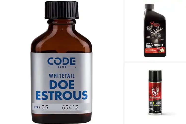 Detailed view of Best Deer Hunting Scents