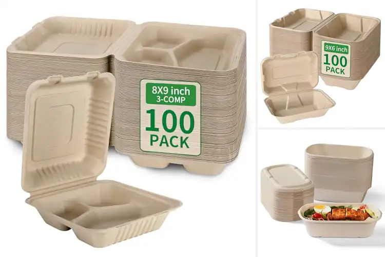 Detailed view of Best Eco-Friendly Takeout Containers