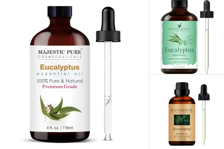 Detailed view of Best Eucalyptus Essential Oils