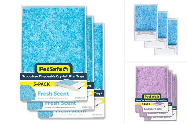 Detailed view of Best Litter Box Refills