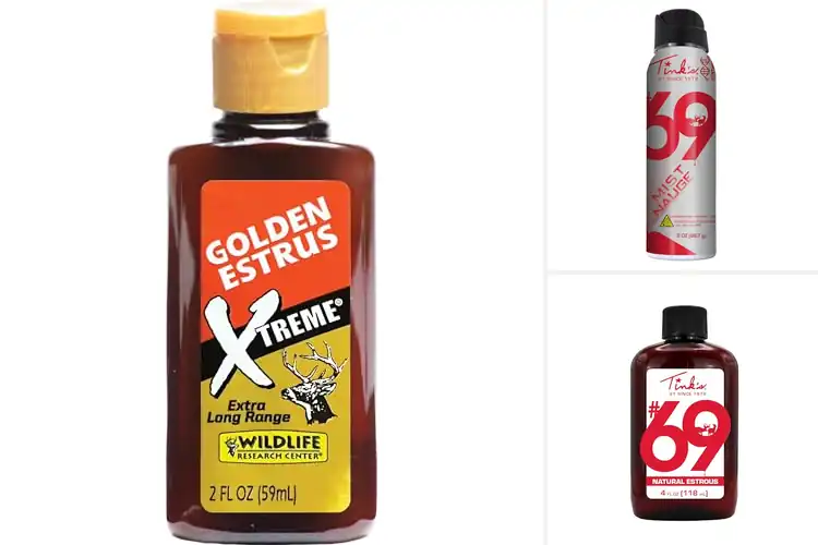 Detailed view of Best Long Range Doe In Estrus Scents