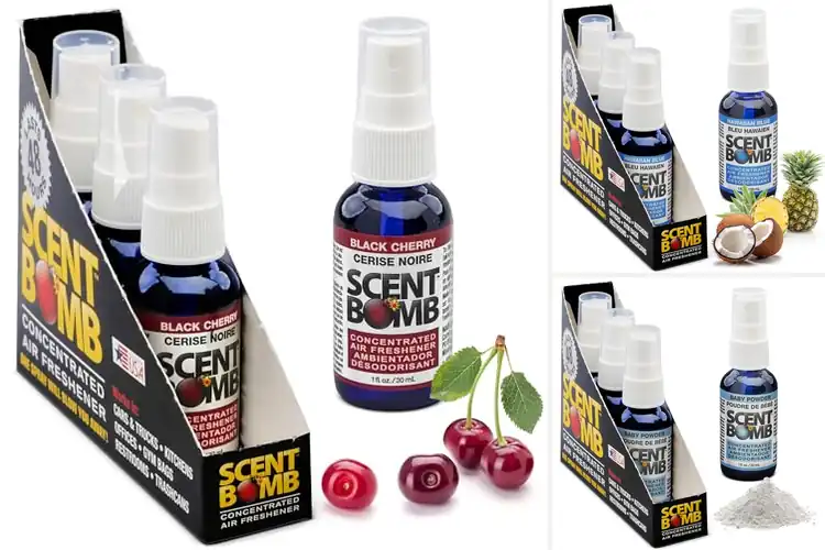 Detailed view of Best Long Range Scent Bursts: Top 10 for Lasting Fragrance
