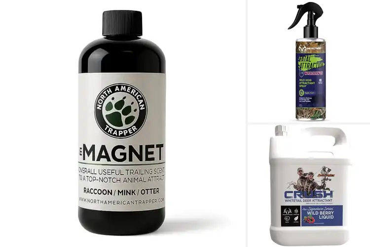 Detailed view of Best Long Range Scents: Your Ultimate Guide