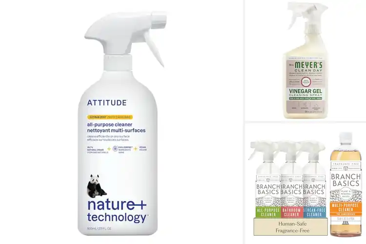 Detailed view of Best Non-Toxic Products