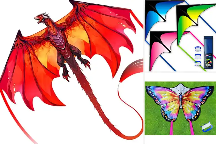 Detailed view of Best Outdoor Kites