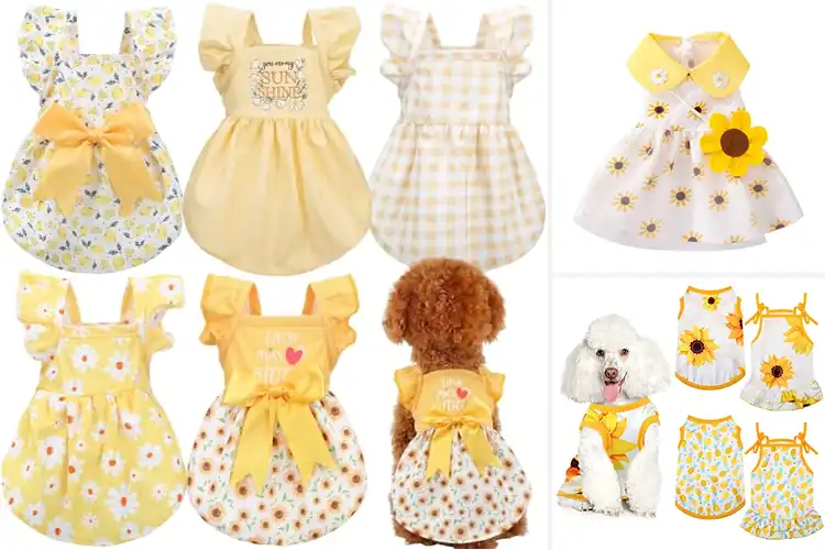 Detailed view of Best Puppy Sunflower Outfits for Cute, Comfy Style