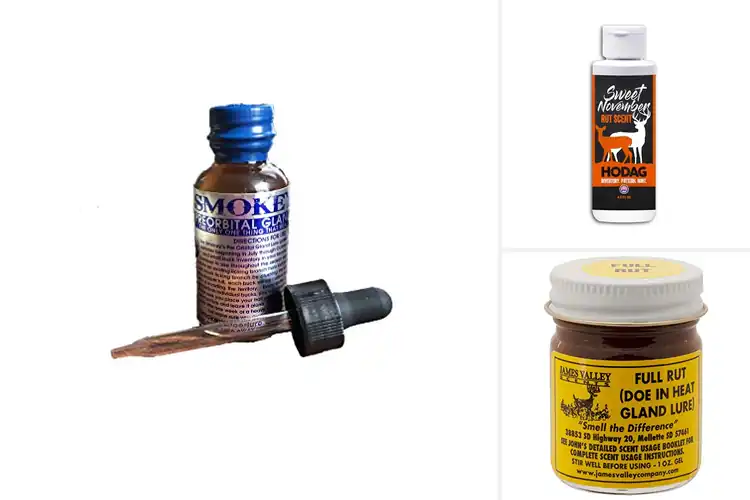 Detailed view of Best Rut Lures: Draw In More Deer Fast