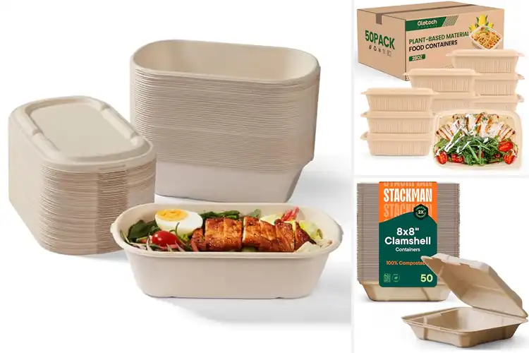 Detailed view of Best Sustainable Food Containers