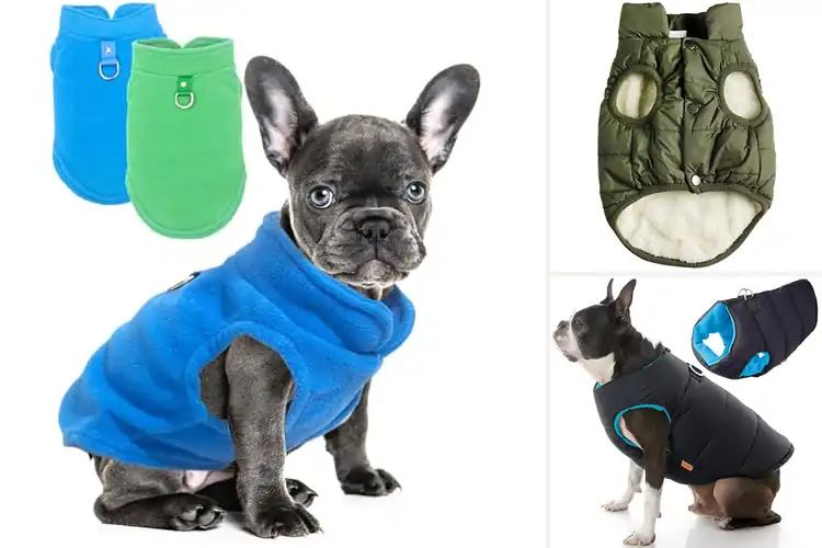 Detailed view of Best Warm Dog Vests: 10 Cozy Picks for Chilly Weather