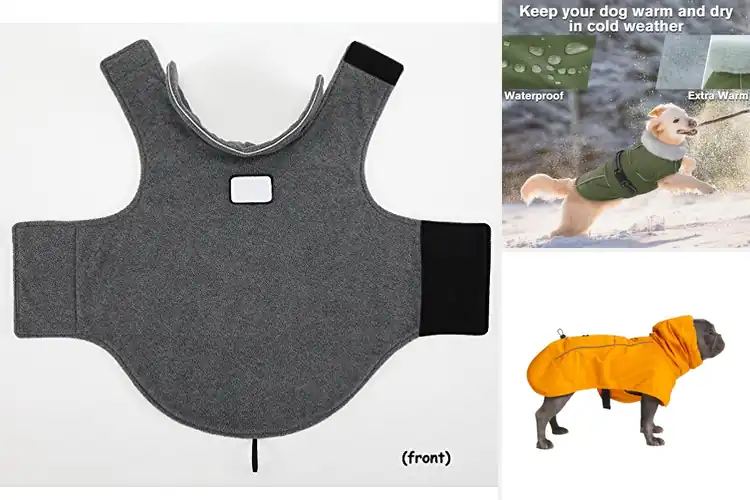 Detailed view of Best Windproof Dog Coats: Top 10 Cozy Picks for Your Pup